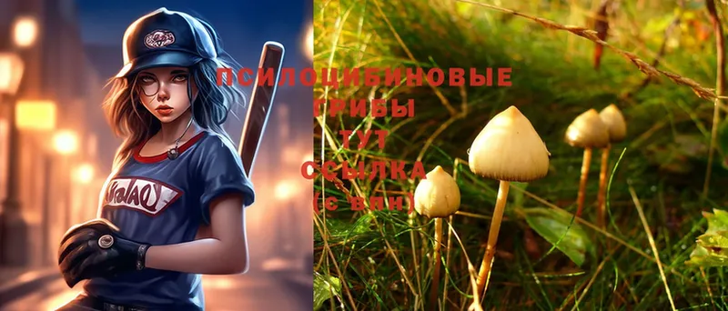 Псилоцибиновые грибы Magic Shrooms  Лахденпохья 